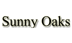 sunny_oak
