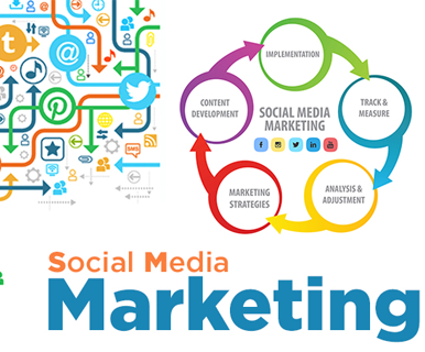 Social Media Marketing Services in Punjab