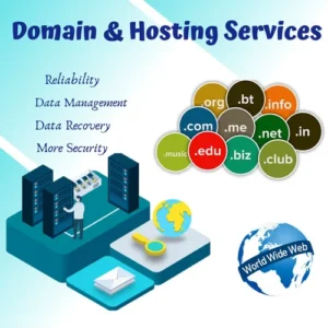 Domain And Hosting Server Coaching In Ludhiana