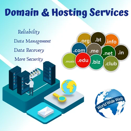 Domain And Hosting Server In Ludhiana